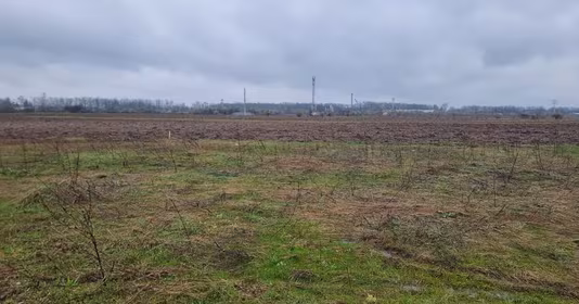 Teren Tărtășești