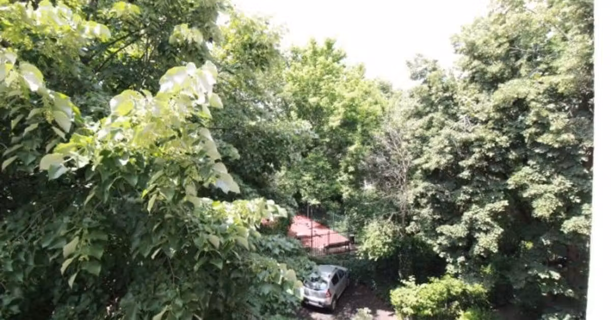 Apartament de vânzare cu 4 camere, mobilat în zona Virtuții, Sector 6