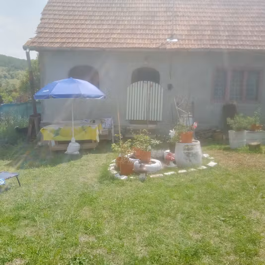 Casă Baia de Cris