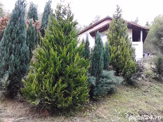 Casă Pietreni