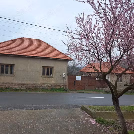 Casă Urvis de Beius