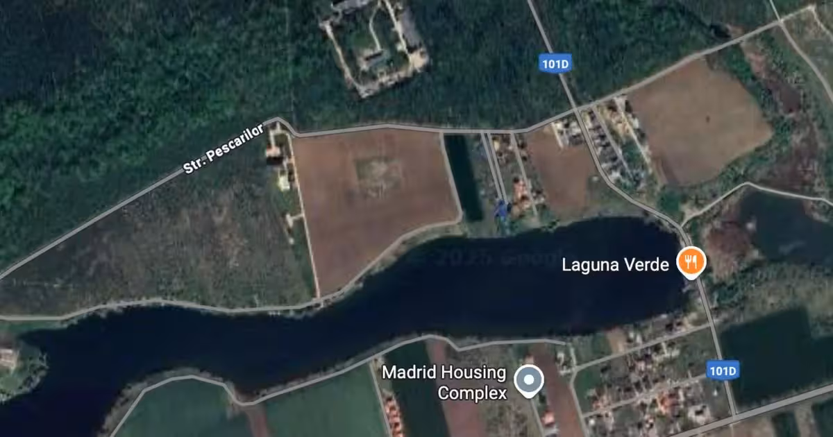 Teren Construcții intravilan de vânzare de 6.303 mp, în Moara Vlăsiei