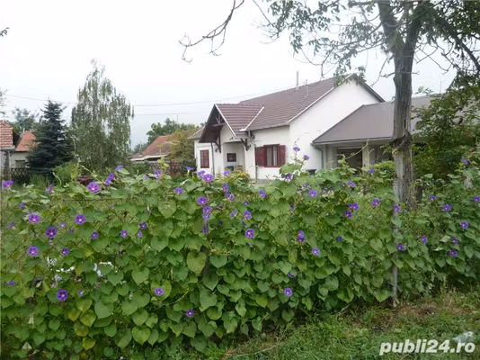 Casă Turnu