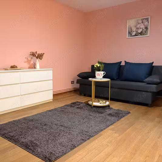 Apartament Bucovina