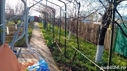 Casă Cotorca