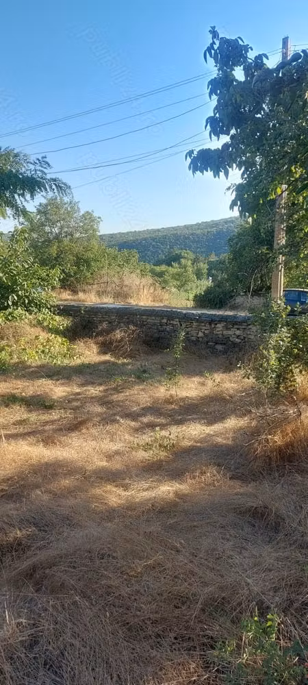 Casă Slava Rusa