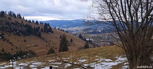 Casă Dorna Candrenilor
