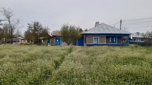 Casă Rosetti
