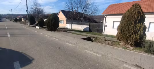 Casă Copacele