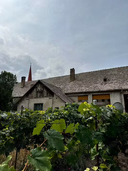 Casă Otelec