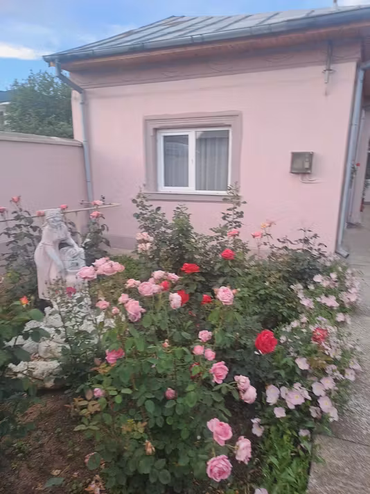 Casă Slatina