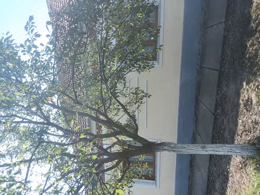 Casă Alios