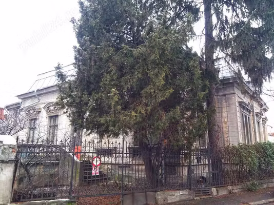 Casă Central