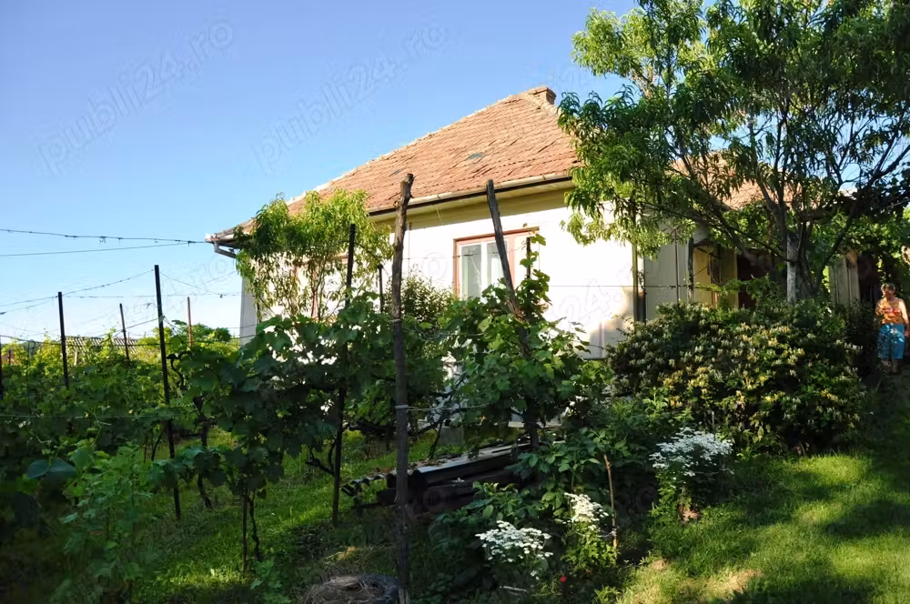 Casă cu teren de vănzare