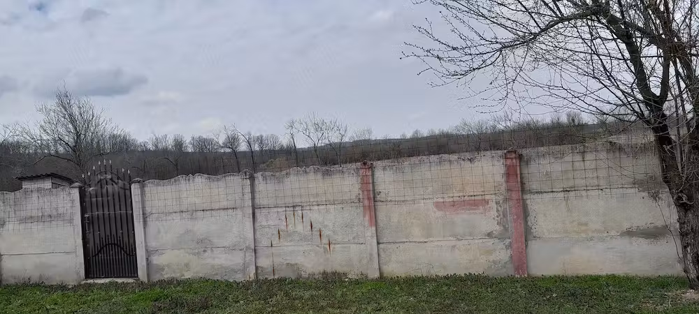 Casa sat pluta com Butoiesti