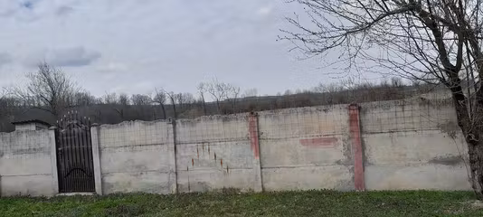 Casă Pluta