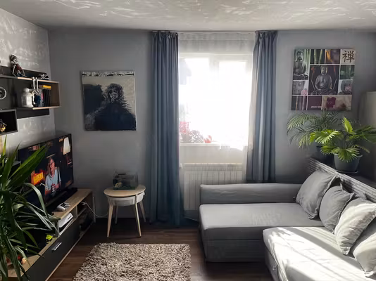 Apartament Dristor