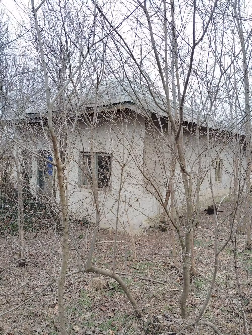Casa de vinzare