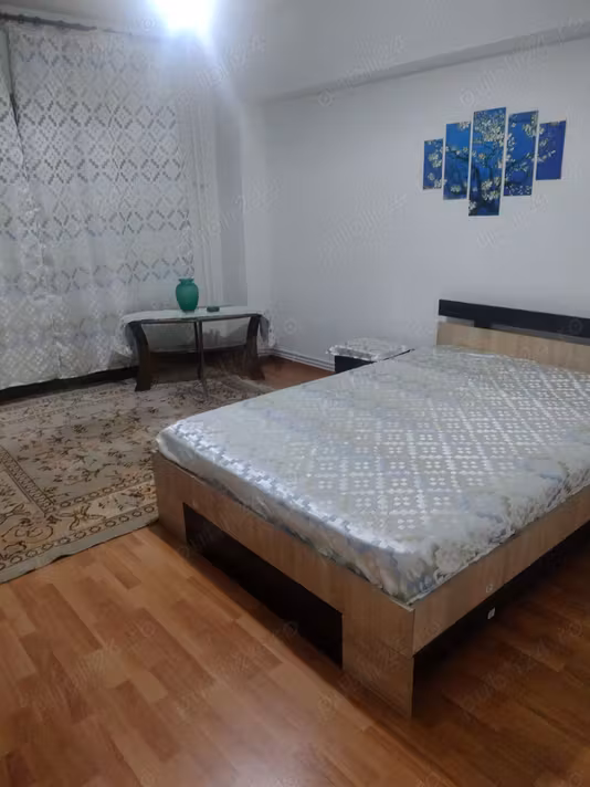 Garsonieră Viisoara