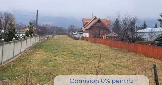 Teren Dărmănești