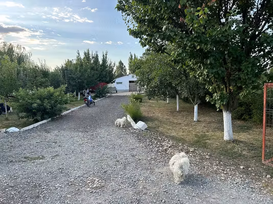 Casă Socodor