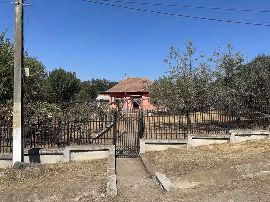 Casă Steic