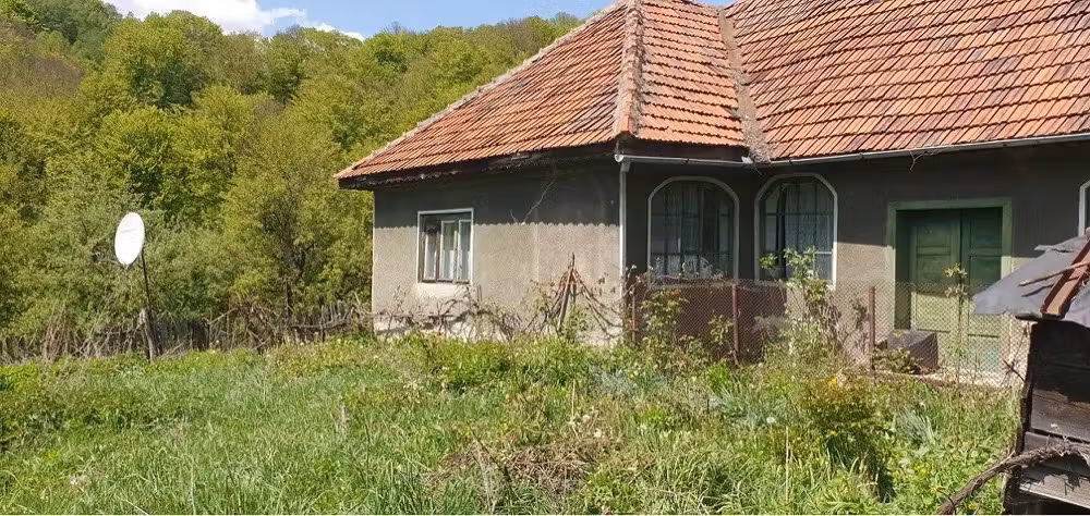 Casa si teren de vânzare