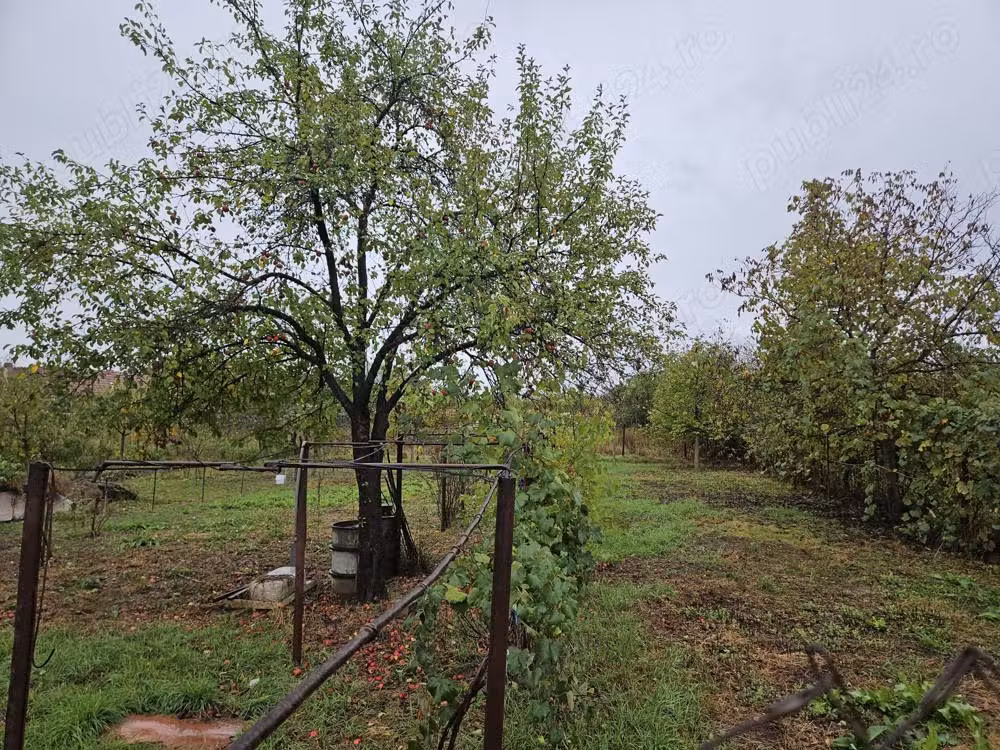 Casă care necesită renovare într-o locație liniștită și însorită în Făget, Timiș - Comision 0