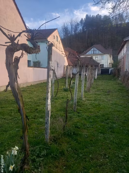 Casă Calnic