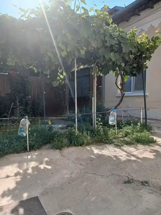 Casă Centrala