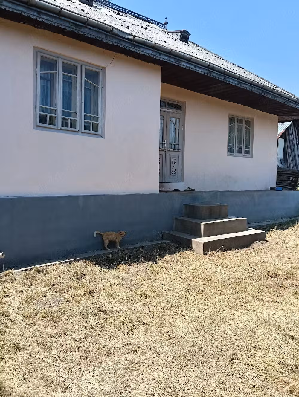 Gospodărie completă 1.1 Ha, Valea Poienii - Dolhasca, Curent Electric, Locuibilă + Utilaje
