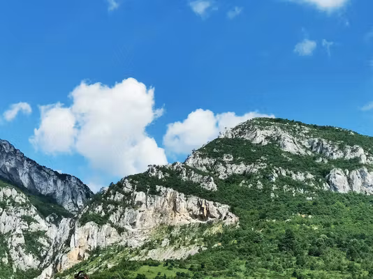 Apartament Pietei