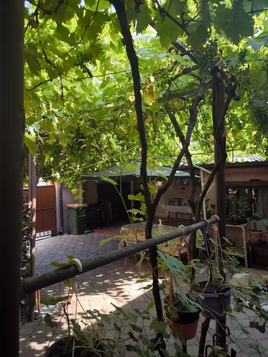 Casă Bucureștii Noi