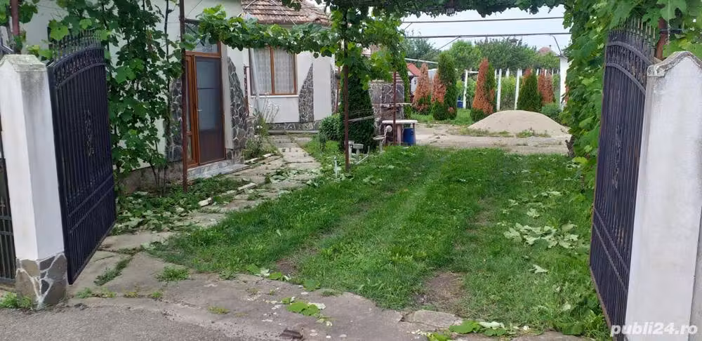 Vind urgent casa Sagu Nr. 586 Arad
