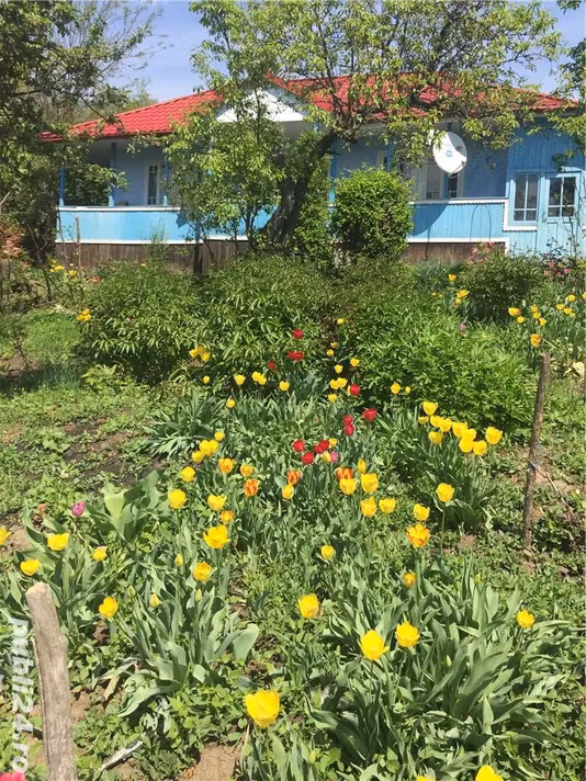 Casă Zapodeni