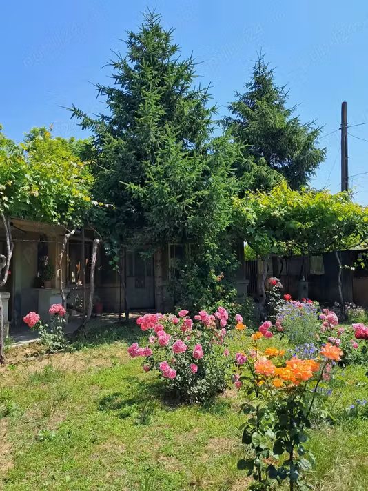 Casă Chercea