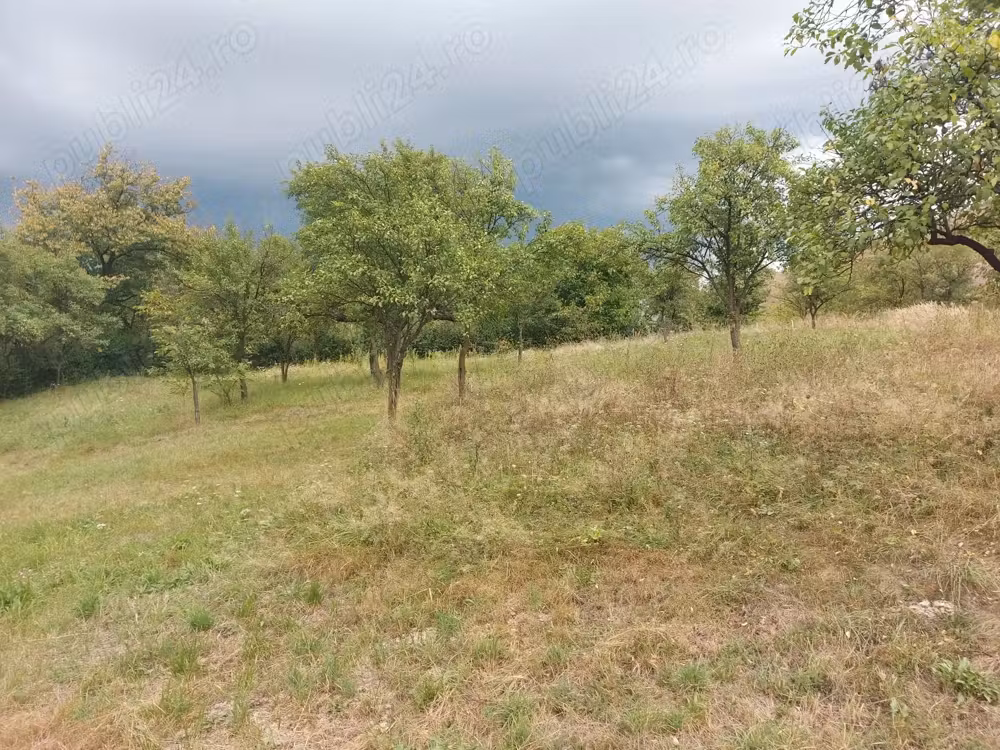 Vind casă cu teren