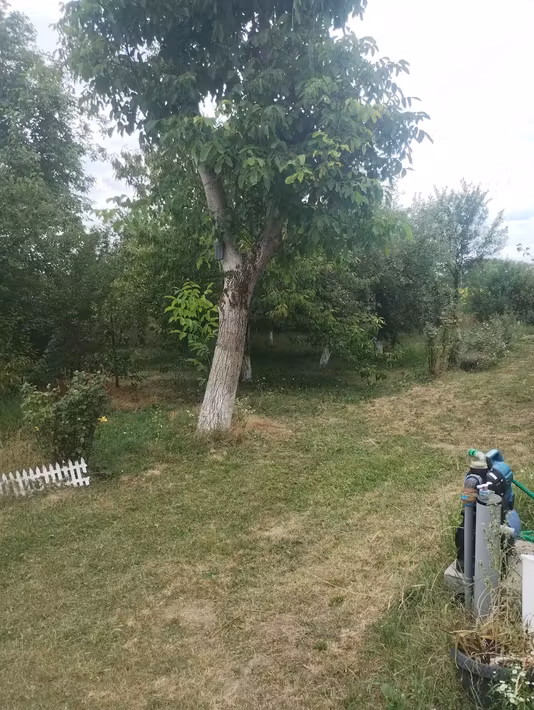 Casă Giungi