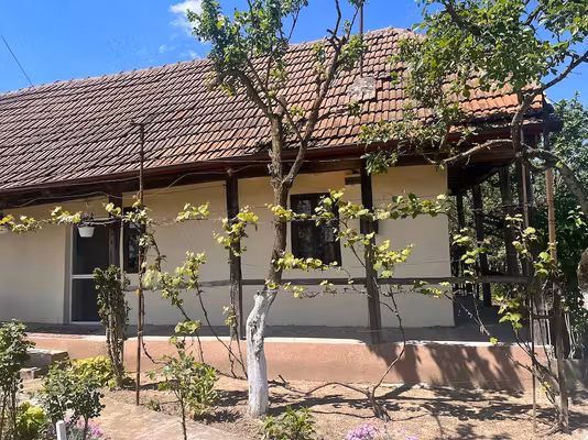 Casă Viile Satu Mare