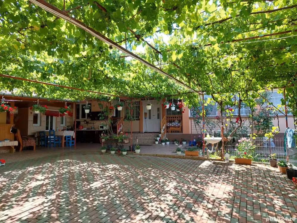 Vand casa in Valea Largă