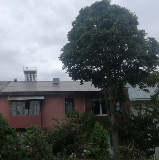 Apartament Plopana