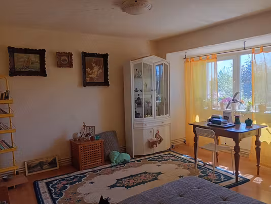 Apartament Sannicolau Mare