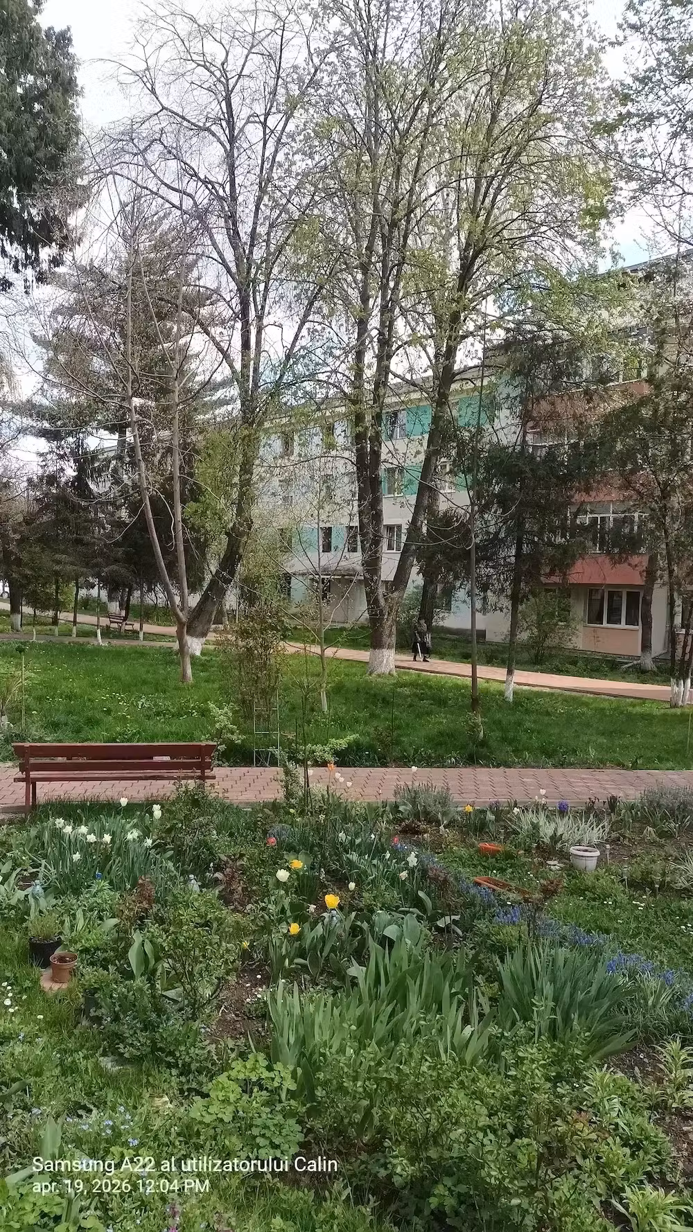 3 camere in Suceava, multiple imbunatatiri, centrala proprie, zona ultracentrala, pitoreasca.