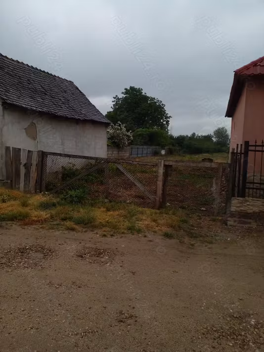 Casă Taut