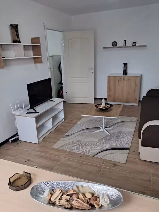 Apartament Mircea cel Batran
