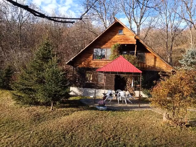 proprietate deosebita,pe malul Teleajenului, de vanzare