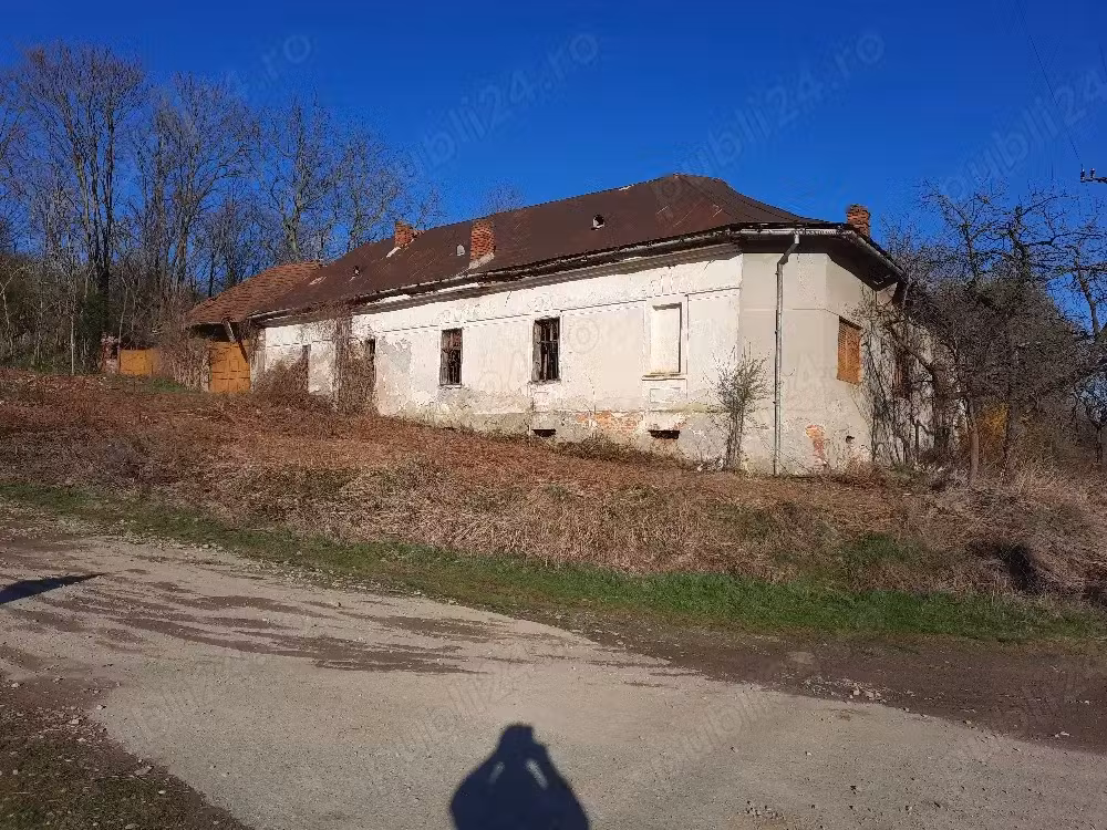Vand Casă in Zgribesti -Timiș
