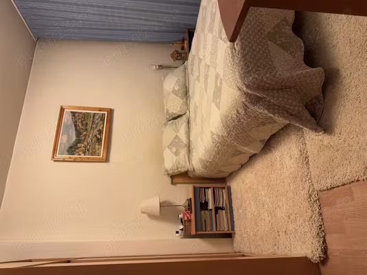 Apartament Viseu de Sus