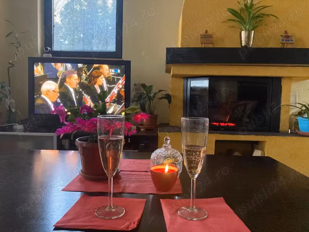 Proprietar vand vila Busteni