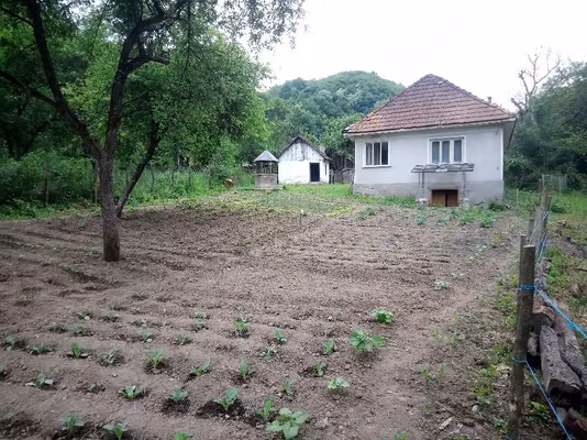 Casă Halmagiu